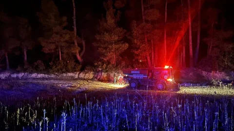 Muğla'da Orman Yangını Kontrol Altında