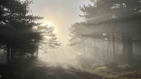 Bozdağ'da Eşsiz Sis Manzarası