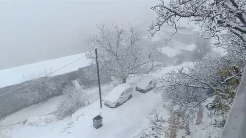 Van'da Kar Yağışı Etkili Oldu