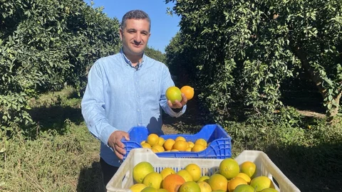 Finike'de Portakal Sezonu Başladı