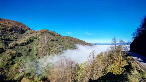 Düzce'de Yoğun Sis Etkili Oldu
