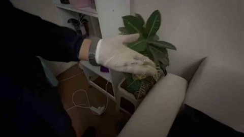 Sakarya'da Uyuşturucu Operasyonu