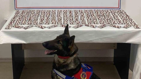 Kastamonu'da Uyuşturucu Operasyonu