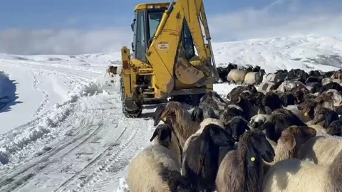 Muş'ta Kar Yağışı Etkili Oldu