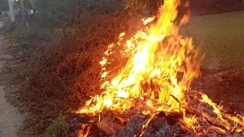 Milas'taki Orman Yangınları Kontrol Altına Alındı