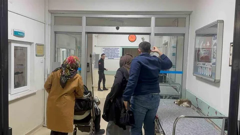 Zonguldak Düğün Yemeği Zehirlenmesi