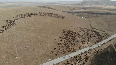 Kars'ta Göçerlerin Dönüş Yolculuğu Başladı