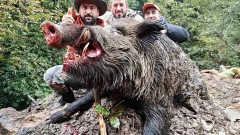 Trabzon'da Sürek Avı Gerçekleşti