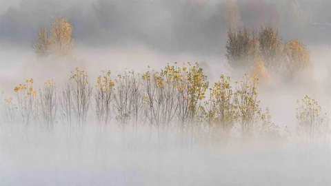 Hevsel Bahçeleri'nde Sonbahar Manzarası
