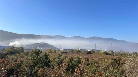 Bursa'da Çevre Sorunu Yaşanıyor