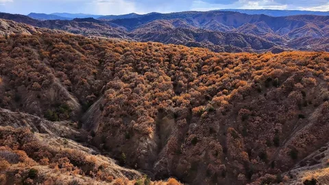Çankırı'da Sonbahar Güzelliği