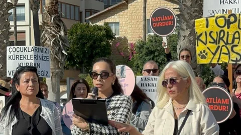 Mersin Barosu Açıklama Yaptı: "köpekler Hızla ve Usulsüz Toplanıyor"