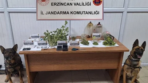 Erzincan'da Jandarma Faaliyetleri Raporu