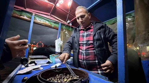 Düzce'de Kuzu Kestanesi Sezonu Başladı