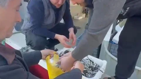 Balık Fiyatları Bandırma'da Protesto Edildi