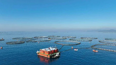 Aydın'da Su Ürünleri Destekleme Süreci Başladı