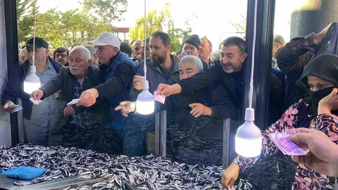 Hopa'da Hamsi Satışı Büyük İlgi Gördü