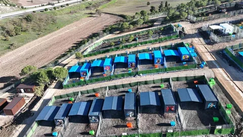 Balıkesir'de Can Dostlara Sıcak Yuva