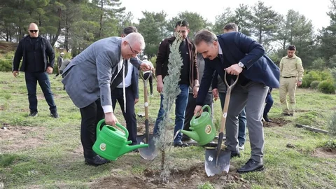 Edremit’te Fidan Dikim Etkinliği Yapıldı