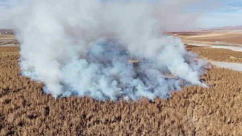 Konya'da Sazlık Yangını Devam Ediyor