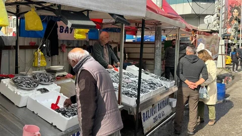 Zonguldak'ta Hamsi Fiyatları Yükseldi