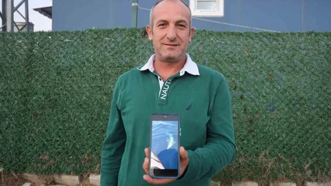 Hatay'da Amatör Balıkçıların Köpek Balığı Mücadelesi