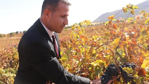 Diyarbakır Dicle'de Tarım Desteği Başladı