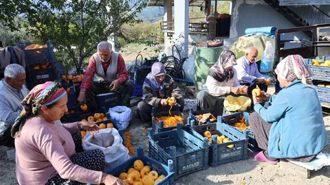 Adana'nın Hurmalı Köyü Açık Fabrika Oldu