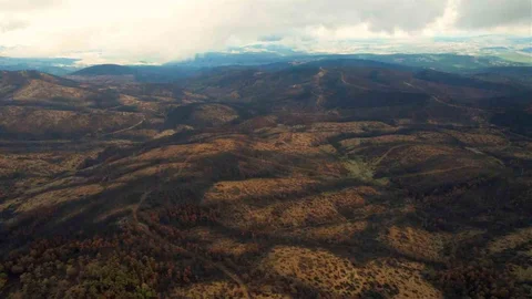 Bursa'da Orman Yangını Sonrası Fidan Dikimi