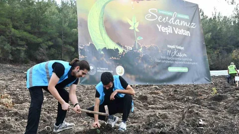 Balıkesir'de Gençler Fidan Dikti