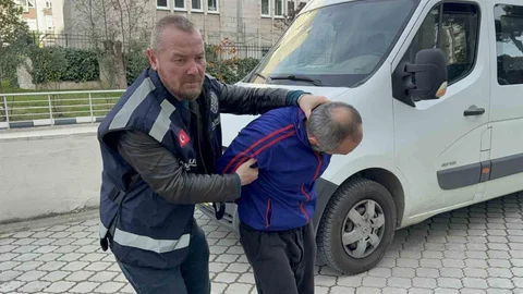 Samsun'da Bonzai Ele Geçirildi