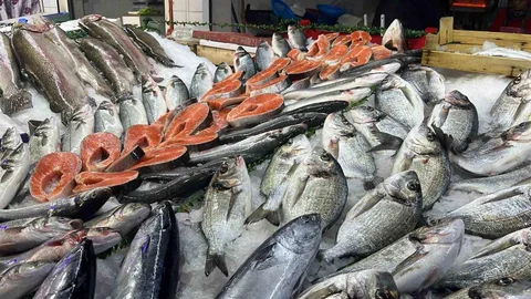 Tavşanlı Balık Pazarında Hamsi Yoğun İlgi Görüyor
