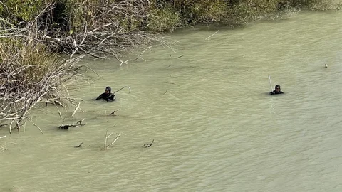 Mersin'de Kaybolan Engellinin Cansız Bedeni Bulundu