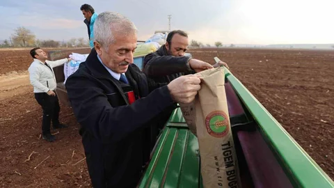 Gaziantep'te Çiftçilere Tohum Desteği