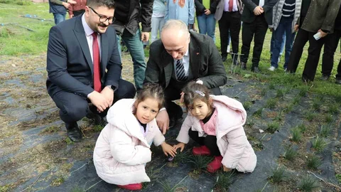 Eskişehir Safran Üretiminde Öne Çıkıyor