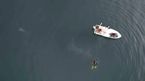 Sapanca Gölü'nde Kabarcıklar Görüntülendi