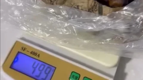 Mersin’de Kestane Şoku: Yarım Kilo 600 TL, Kilosu 1200 TL!