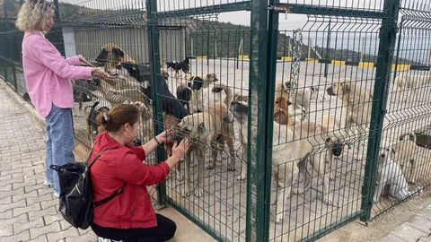 Alaşehir'de Doğal Yaşam Alanı Açıldı