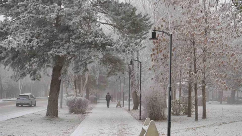 Erzurum Sisli ve Kırağıyla Başladı