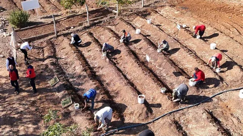 Kahramanmaraş'ta Salep Üretimi Başladı