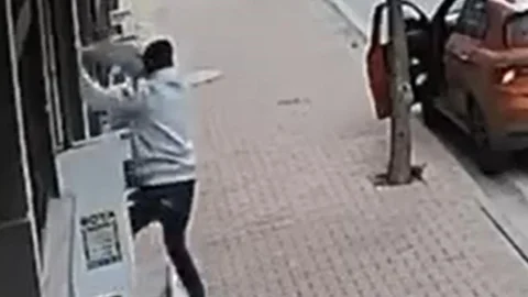 İstanbul'da Kedi Hırsızlığı Olayı