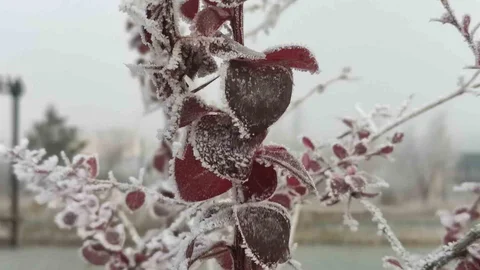 Göle'de Eksi 13 Derece Hava