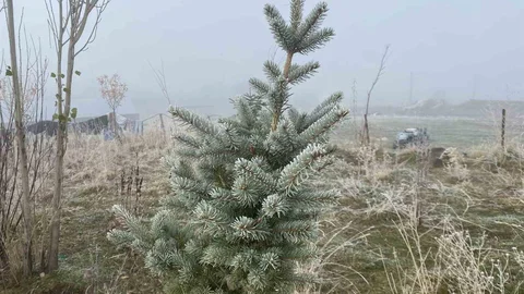 Ağrı’da Kırağı Görüntüsü Oluştu