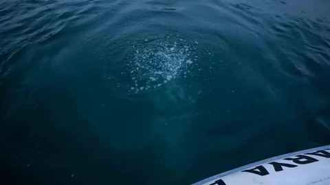 Sapanca Gölü'nde Kabarcık Endişesi Artıyor