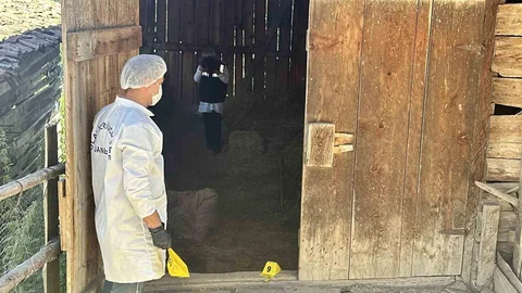 Kastamonu'da Samanlıkta Cinayet Davası Devam Ediyor