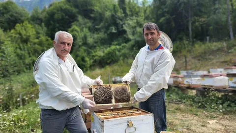 Yenice Ihlamur Balı Tescillendi