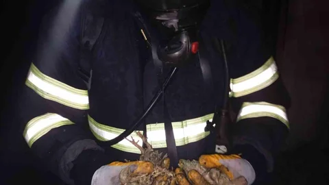 Balıkesir'de Tavuk Çiftliğinde Yangın