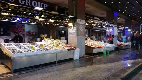 Karadeniz'de Hamsi Bolluğu Yaşanıyor