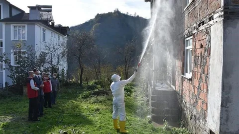 Ordu'da Kışlak İlaçlaması Yapılacak