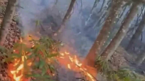 Düzce'de Orman Yangını Kontrol Altına Alındı